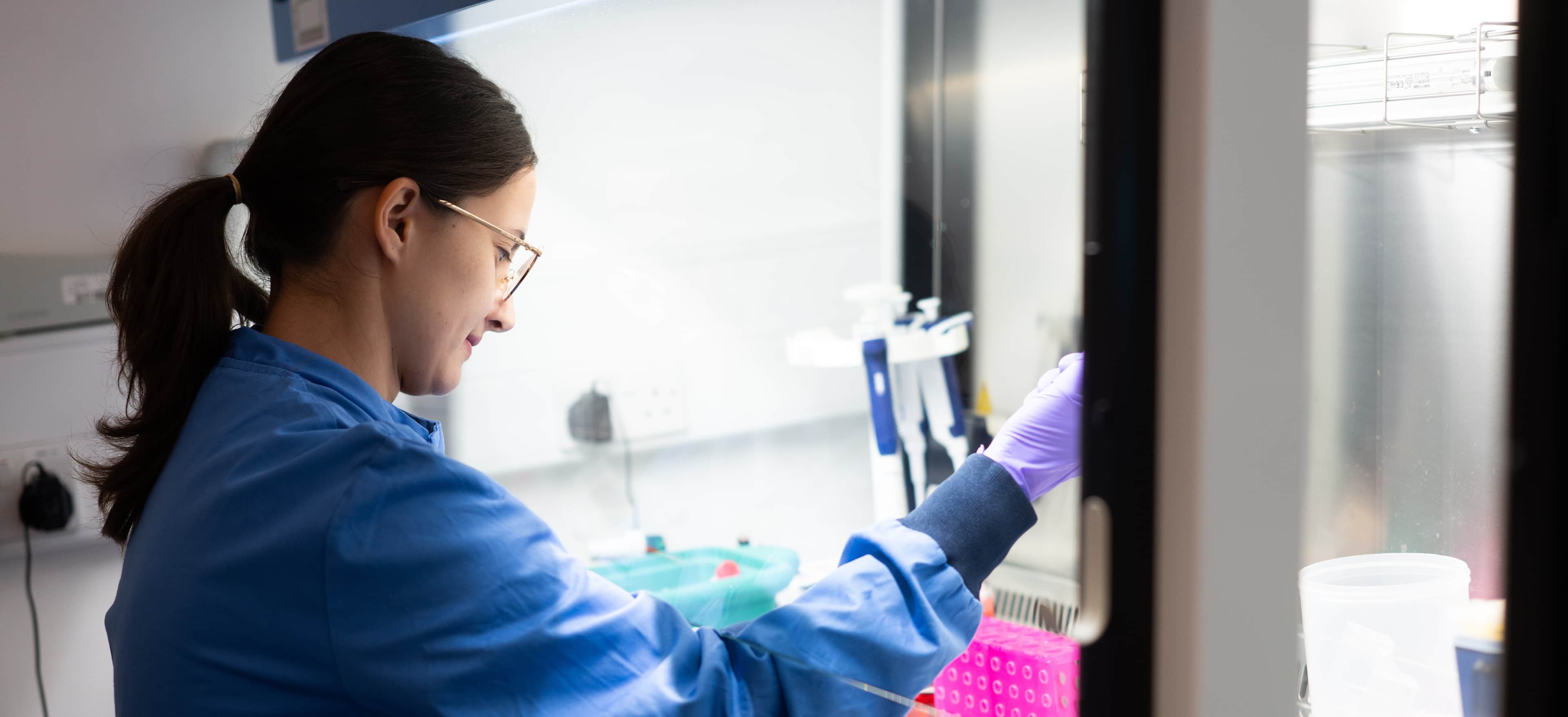 A scientist is working in a lab with purple gloves and a blue lab coat.